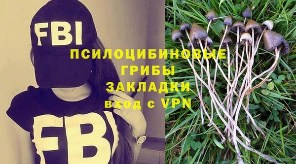 ешки Арсеньев