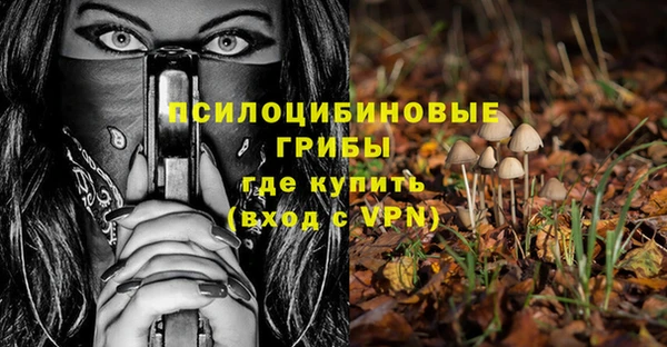 гашик Баксан